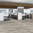 FORTITUDE-5601V-FRESH-DRIFTWOOD-01160-room-image