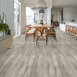 FORTITUDE-5601V-FRESH-DRIFTWOOD-01160-room-image