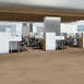 FORTITUDE-5601V-SIMPLE-WASH-02083-room-image