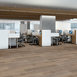 FORTITUDE-5601V-WILD-DUNES-07089-room-image