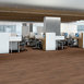 IN-THE-GRAIN-II-5.0-5603V-SANDALWOOD-07003-room-image