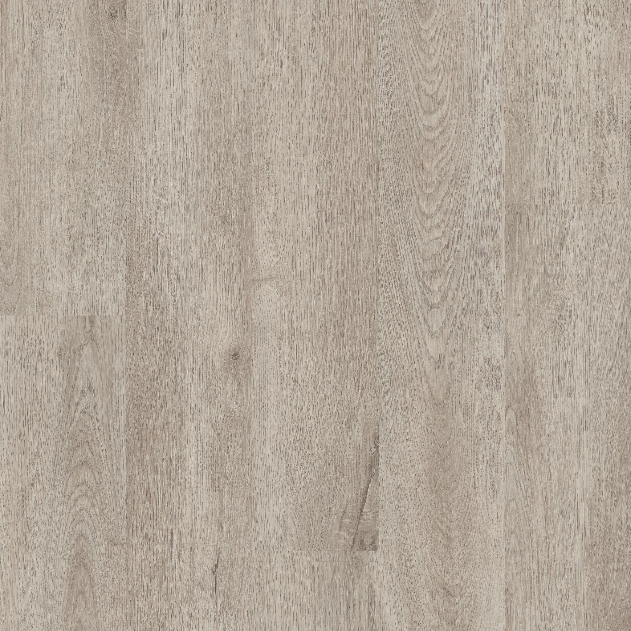 G Force 6-Miami-5604V_05216