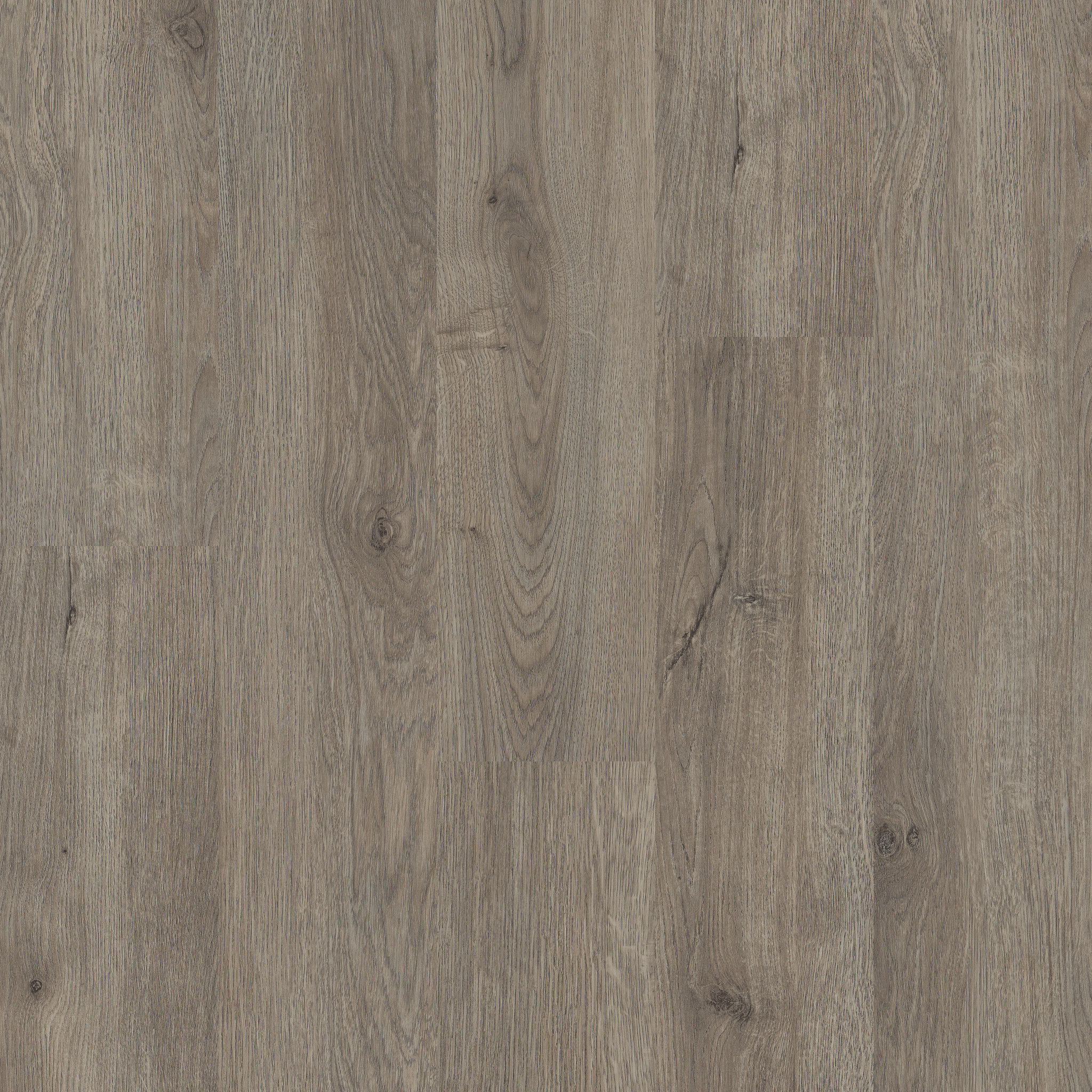 G Force 6-Chicago-5604V_05217