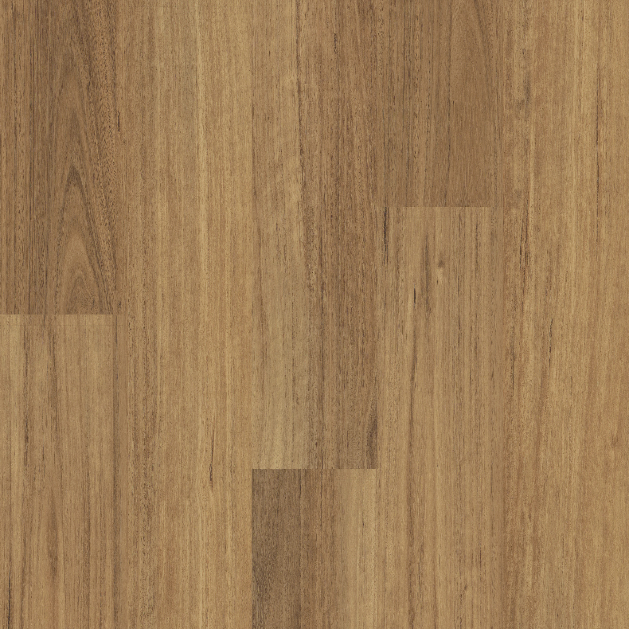 G Force 6-Baltimore-5604V_06041