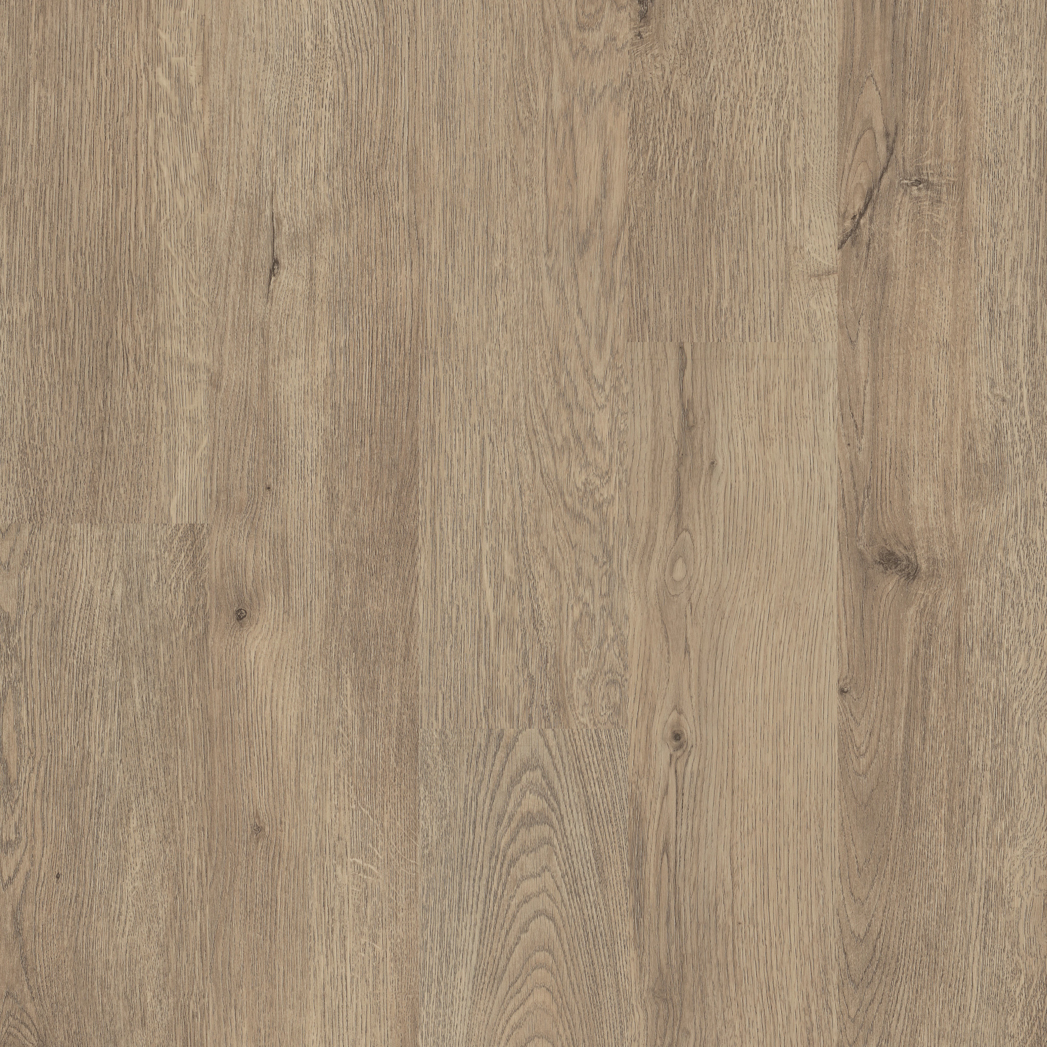 G Force 6-Los Angeles-5604V_07306