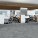 CODEX-5609V-ELEMENTAL-00495-room-image