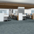 CODEX-5609V-MYSTICAL-00496-room-image