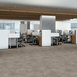 CODEX-5609V-REVERIE-01132-room-image