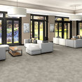 CODEX-5609V-VISION-01133-room-image