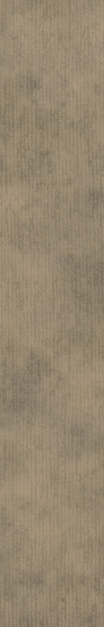 Codex-Mesmerize-5609V_02068