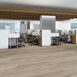 SILVA-VALLEY-5.0-5612V-LOOKOUT-PASS-00102-room-image