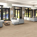 INDWELL-8-5660V-SAND-DUNE-01169-room-image