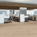 INDWELL-8-5660V-SAND-DUNE-01169-room-image