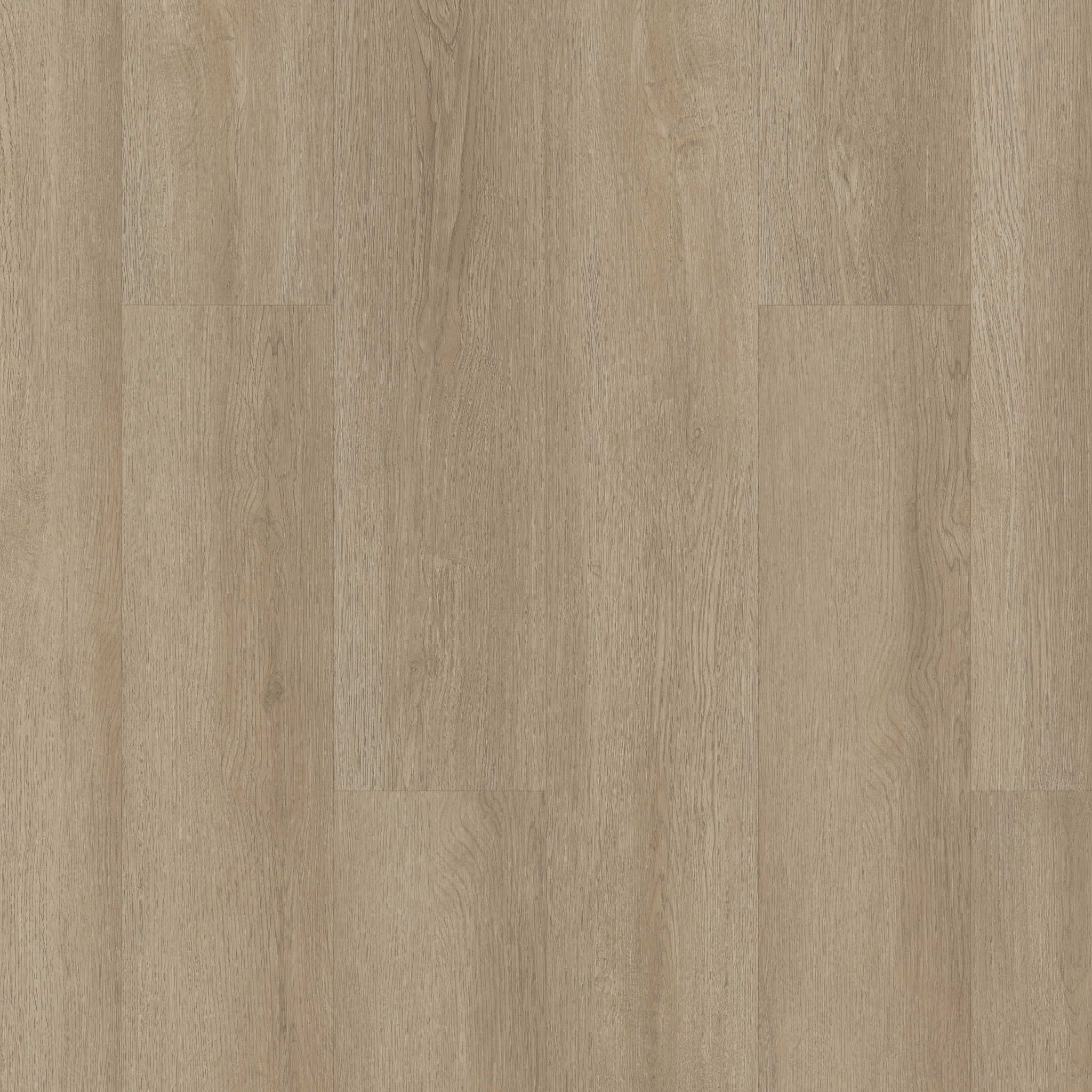 Indwell 8-Mesa Oak-5660V_07194
