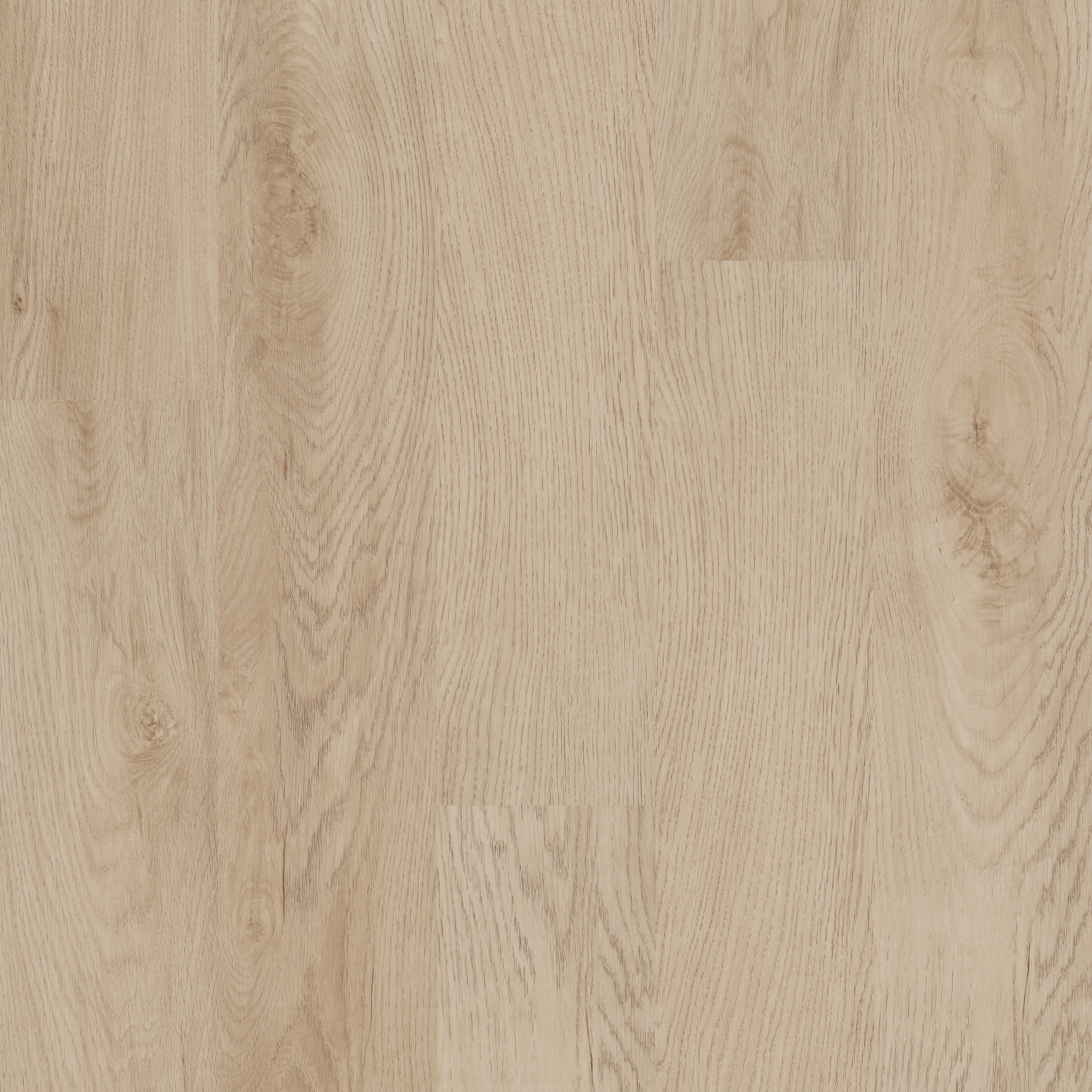 Indwell 12-Sand Dune-5661V_01169