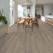 INDWELL-12-5661V-BLUE-RIDGE-05100-room-image