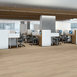 INDWELL-12-5661V-MESA-OAK-07194-room-image