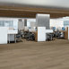 INDWELL-20-5662V-WALNUT-HILL-07192-room-image