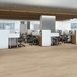 INDWELL-SPC-SS-5663V-SAND-DUNE-01169-room-image