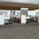 TECTON-5666V-PELHAM-00720-room-image