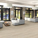 REWILD-5667V-VITALIZE-00100-room-image