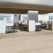 REWILD-5667V-VITALIZE-00100-room-image