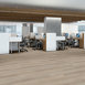 REWILD-5667V-SOLACE-00104-room-image
