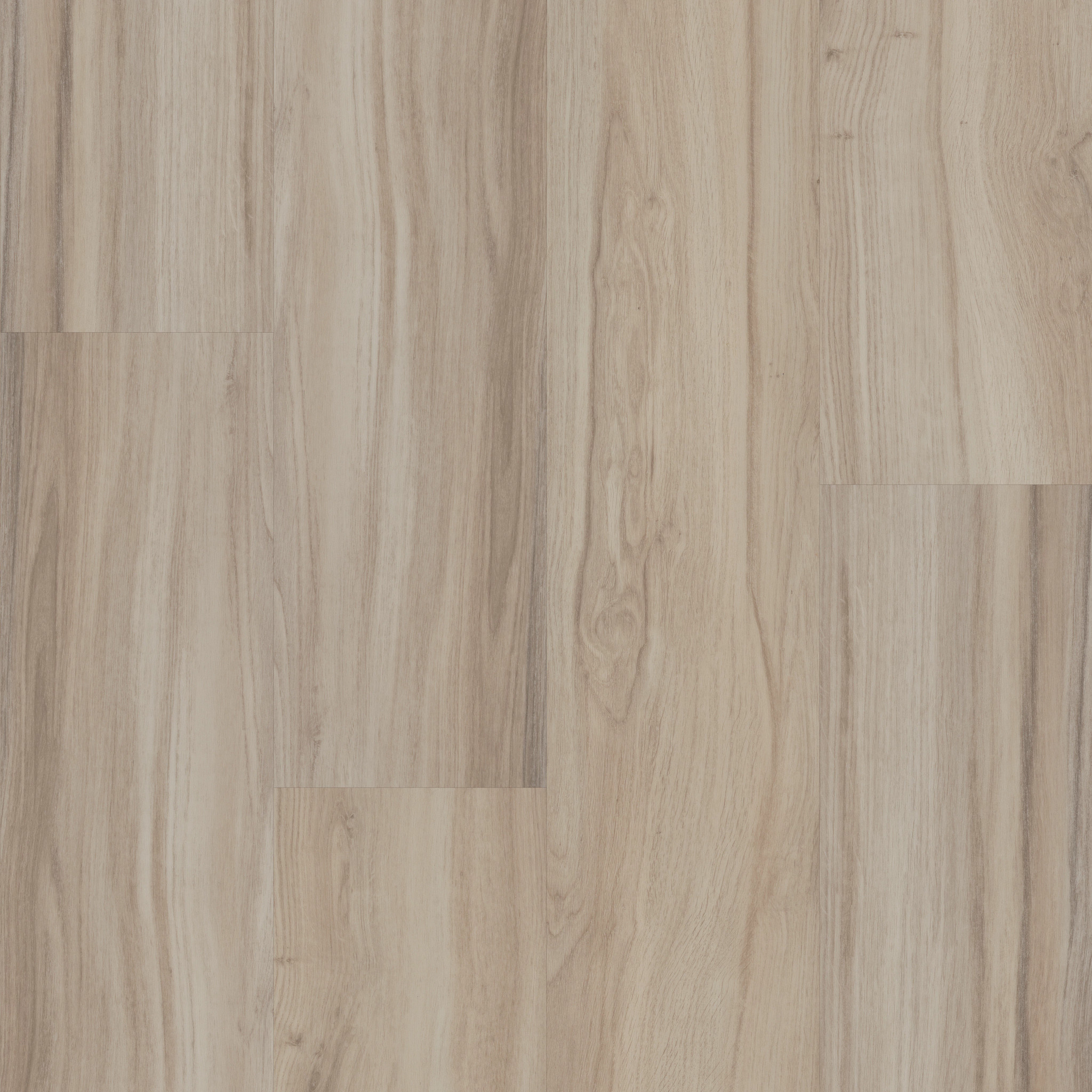 Rewild-Solace-5667V_00104