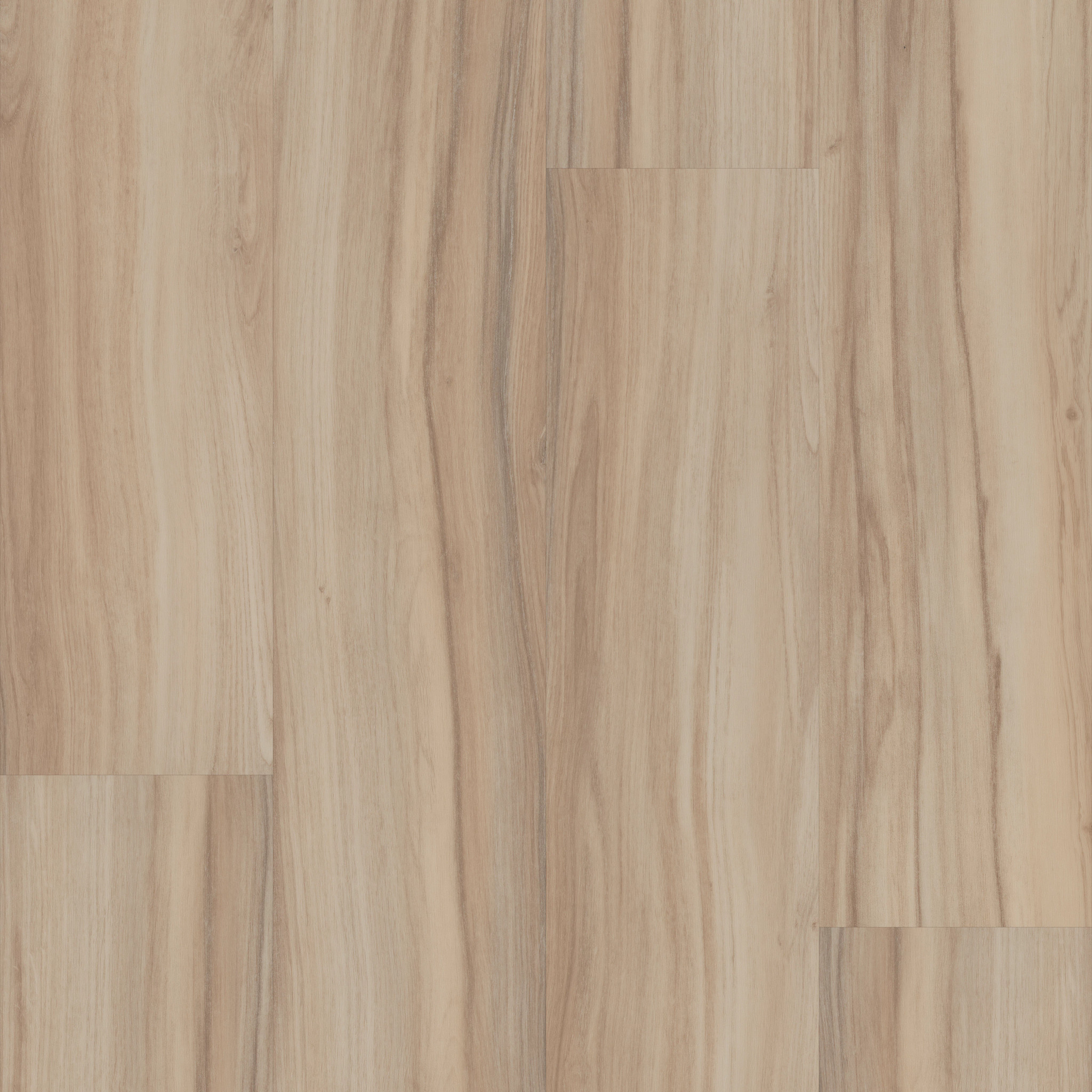 Rewild-Native-5667V_00105