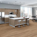 REWILD-5667V-UNTAMED-00700-room-image