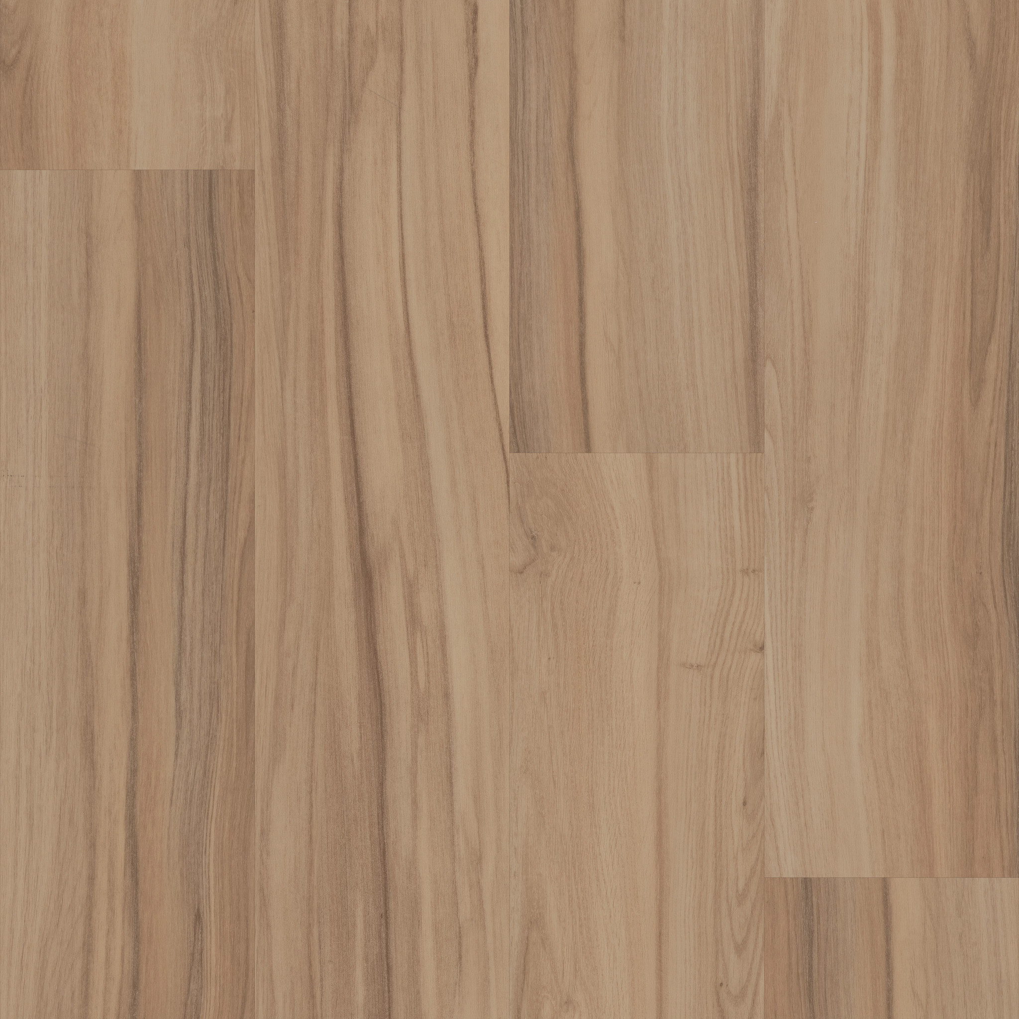 Rewild-Untamed-5667V_00700