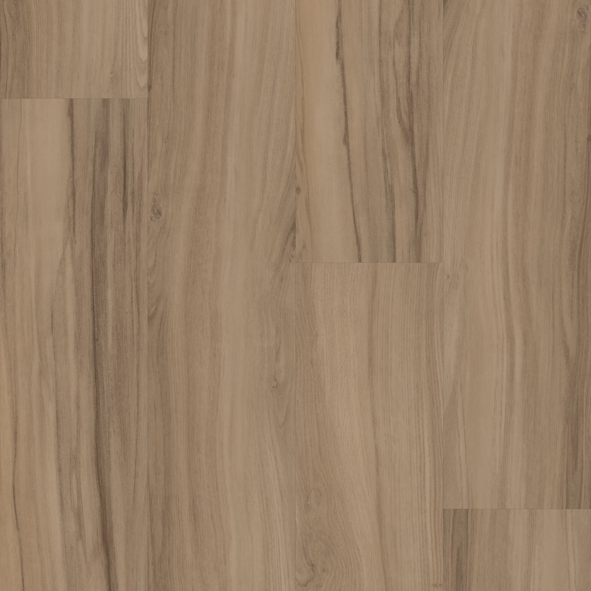 Rewild-Aegis-5667V_00706