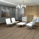 REWILD-5667V-GROUNDED-00707-room-image