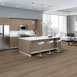 REWILD-5667V-GROUNDED-00707-room-image