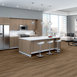 REWILD-5667V-DELIGHT-00708-room-image