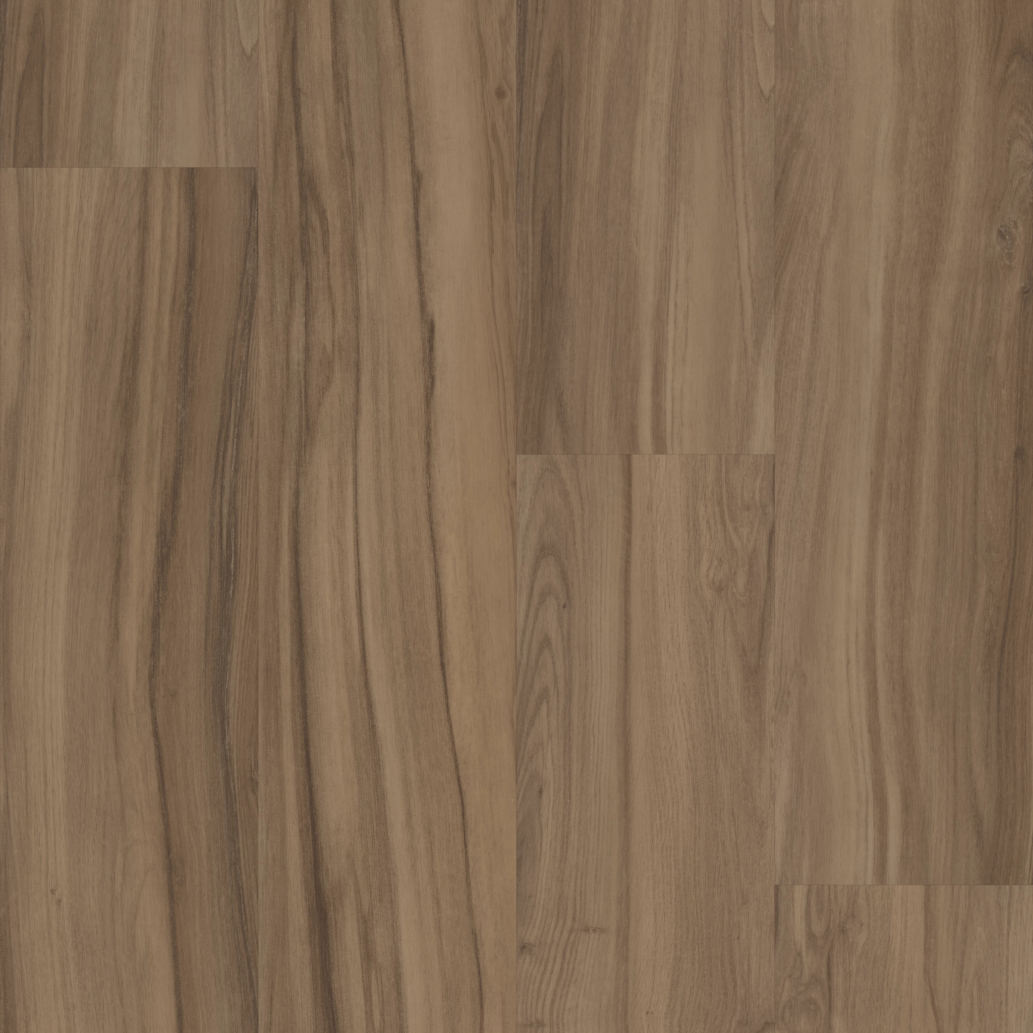 Rewild-Delight-5667V_00708