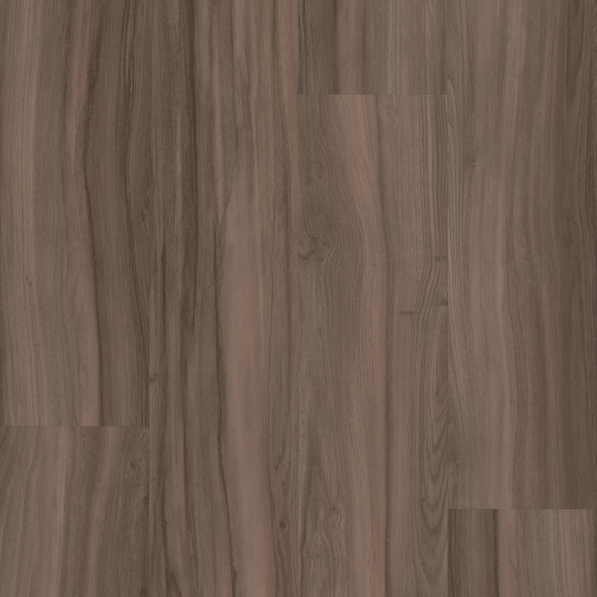 Rewild - Venture - 5667V_00709