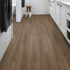 Indwell Ll - Texas Bur | resilient | 5668V-00825 | Shaw Indwell Ll - Texas Bur | resilient | 5668V-00825 | Shaw