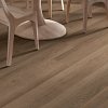 Indwell Ll - Texas Bur | resilient | 5668V-00825 | Shaw Indwell Ll - Texas Bur | resilient | 5668V-00825 | Shaw