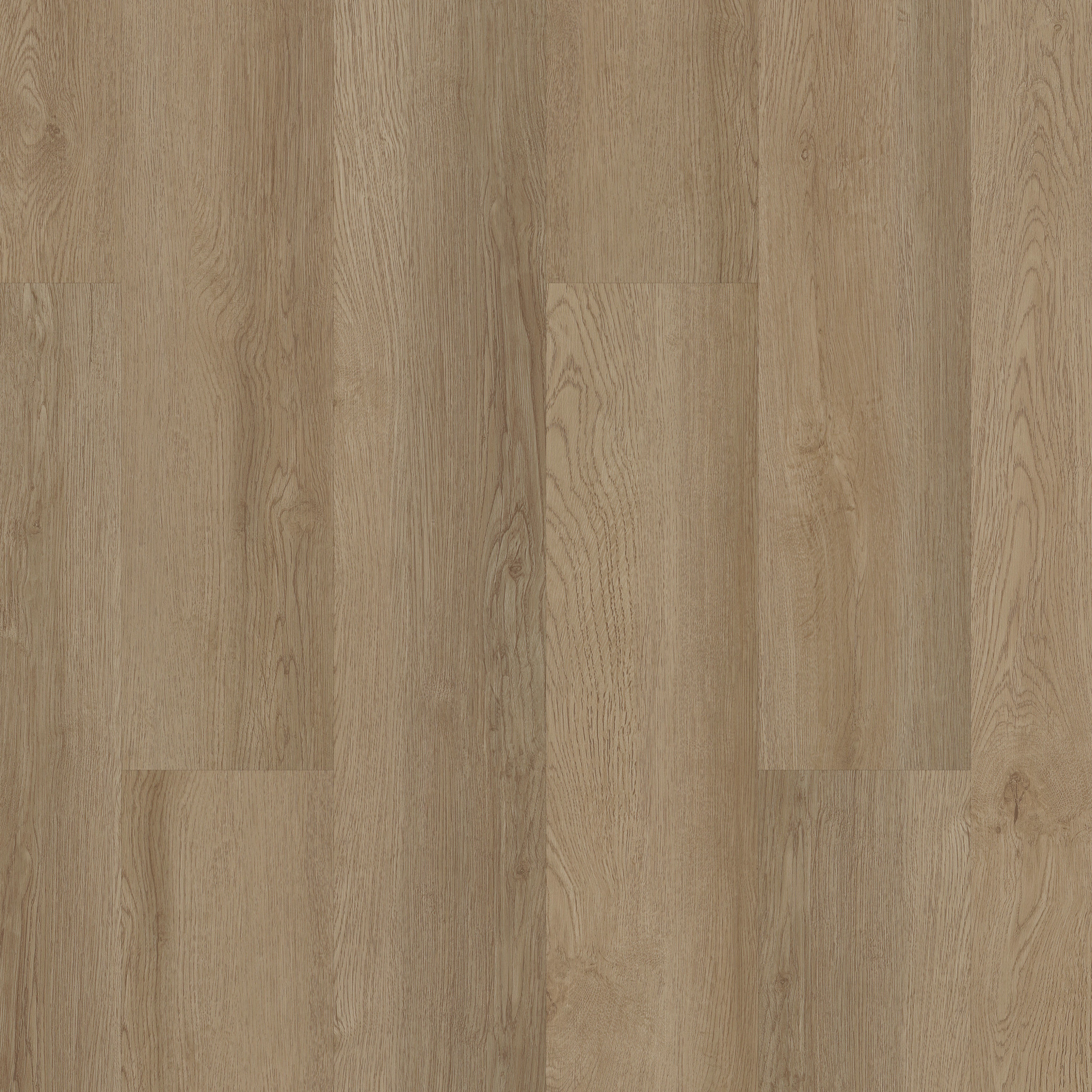 Indwell Ll-Ohlone Oak-5668V_02027