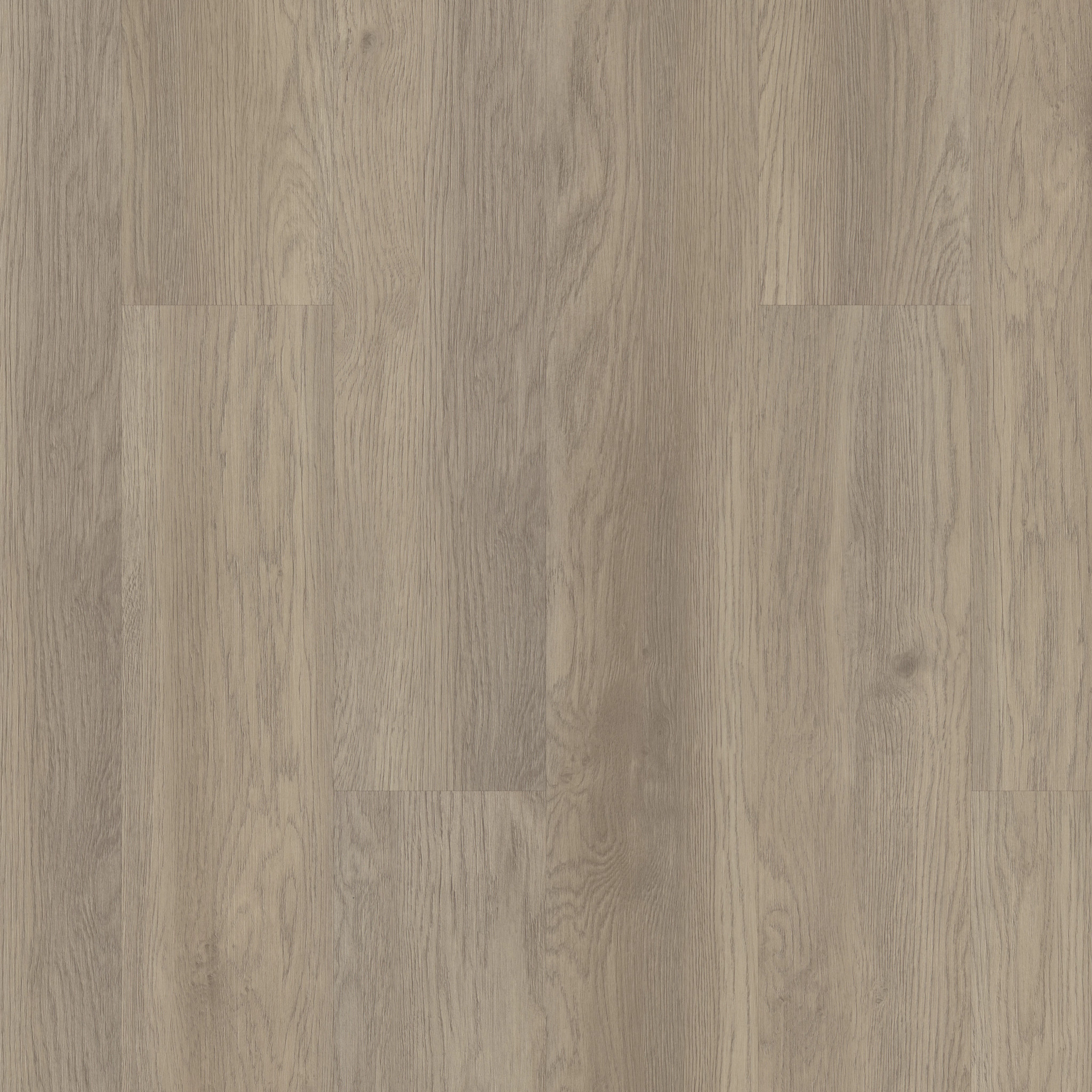 Indwell Ll-Willow Oak-5668V_02028