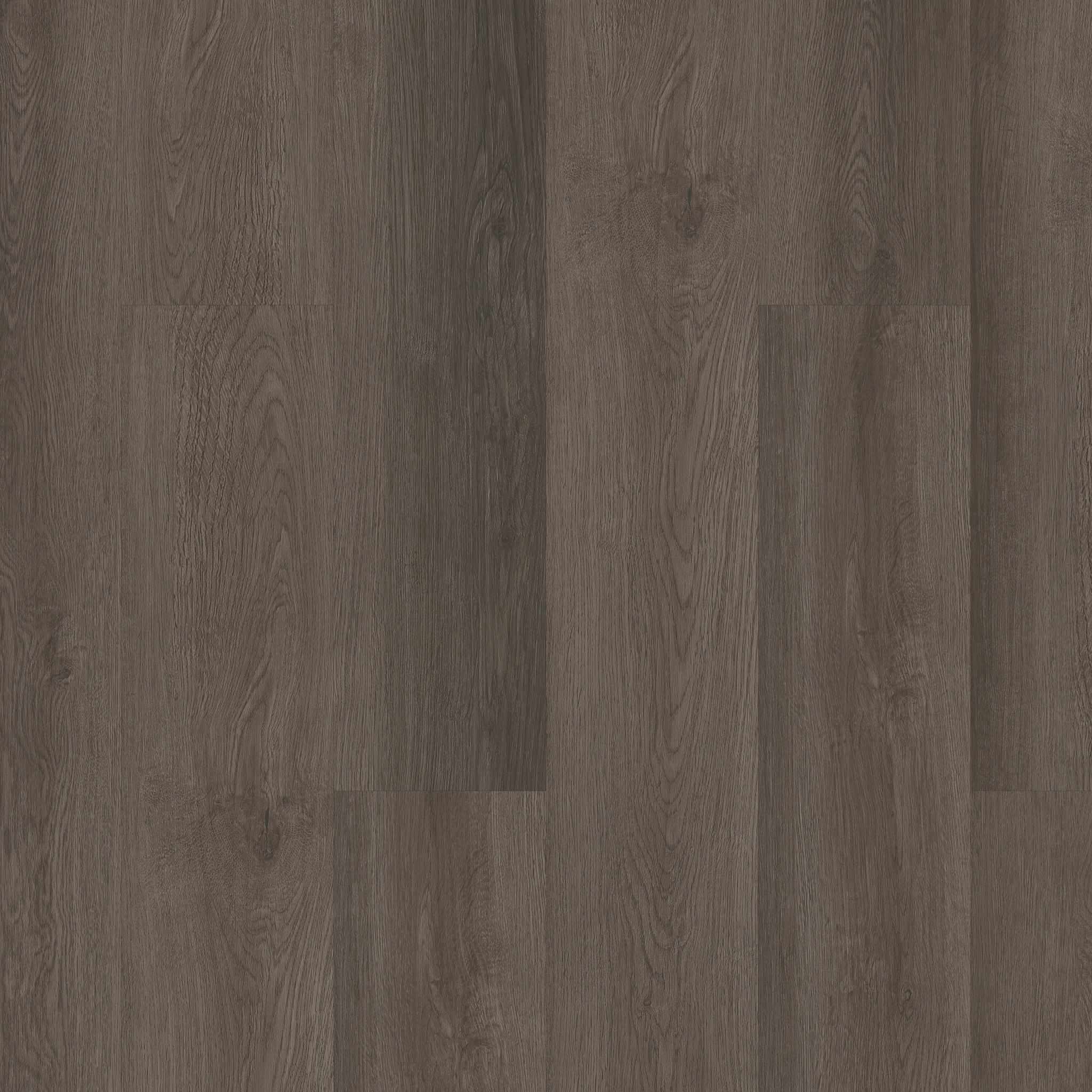 Indwell Ll - Seneca Oak - 5668V_07100