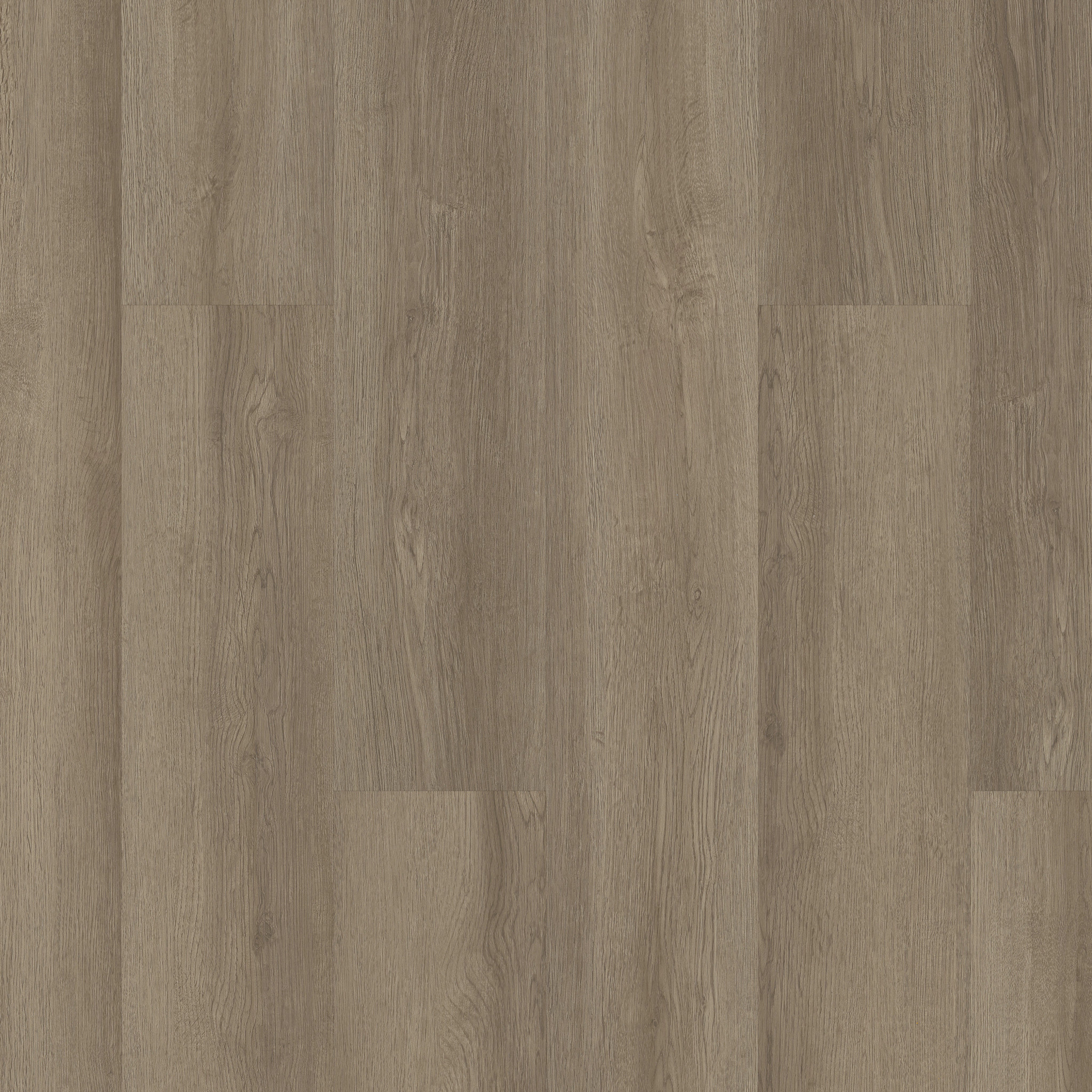 Indwell Ll-Walnut Hill-5668V_07192