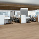 INDWELL-LL-5668V-MESA-OAK-07194-room-image