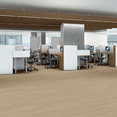 QUIETUDE-5683V-SERENE-SAND-01206-room-image