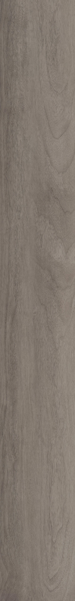 Quietude-Calm Grey-5683V_05222