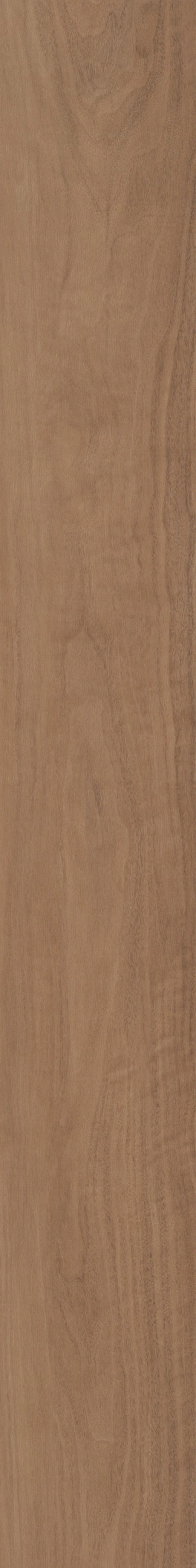 Quietude-Subdued Sienna-5683V_06043