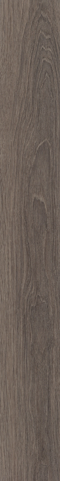 Quietude-Delicate Pewter-5683V_07309