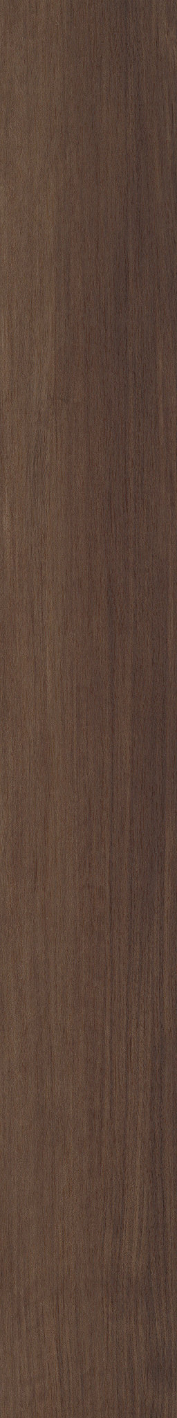 Quietude - Soothing Sable - 5683V_07310