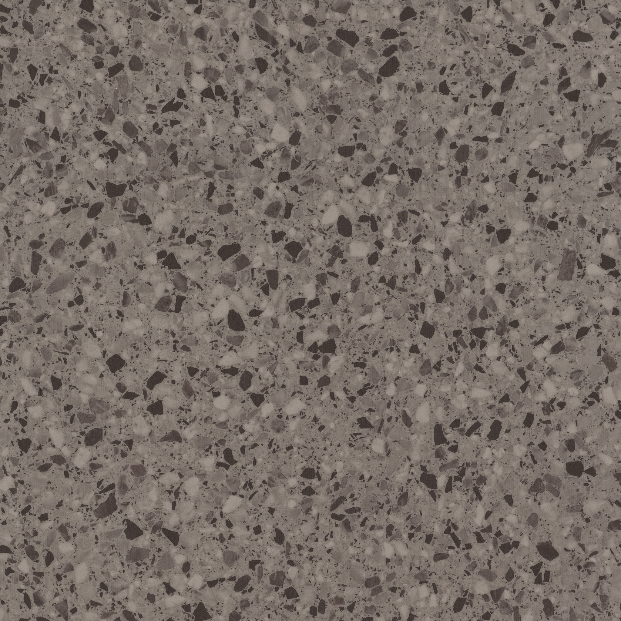 Novara-Toratora-5684V_05213